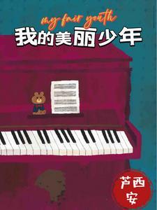 我的美丽少年封面