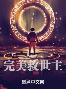 完美救世主封面