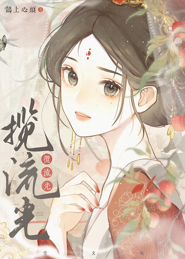 揽流光封面