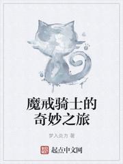 魔戒骑士的奇妙之旅封面