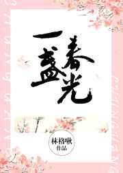一盏春光[豪门]封面