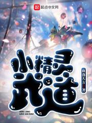 小精灵武道封面