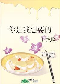 你是我想要的封面