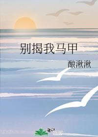 别揭我马甲封面