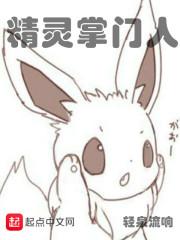 精灵掌门人封面