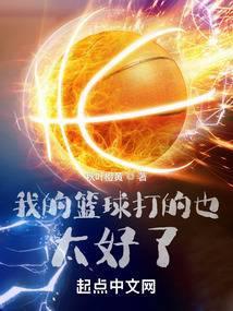 我的篮球打的也太好了封面