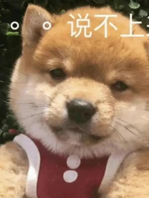 炮灰扮演员总因敬业而变成万人迷封面