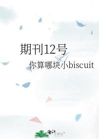 期刊12号封面