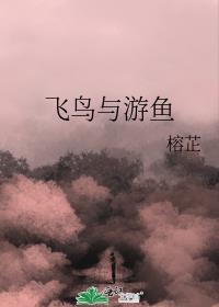 飞鸟与游鱼封面