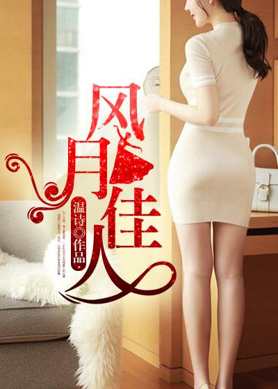 风月佳人封面