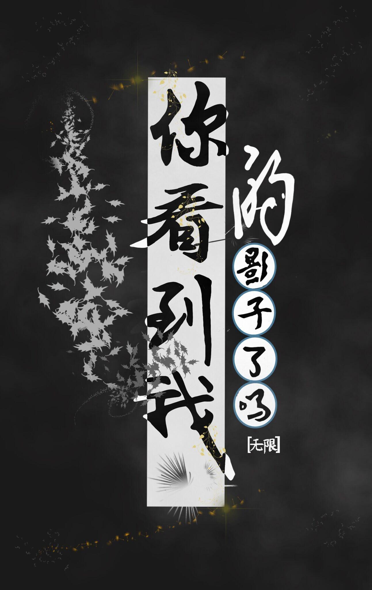 你看到我的影子了吗［无限］封面