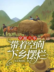 穿越六零带着空间下乡摆烂封面