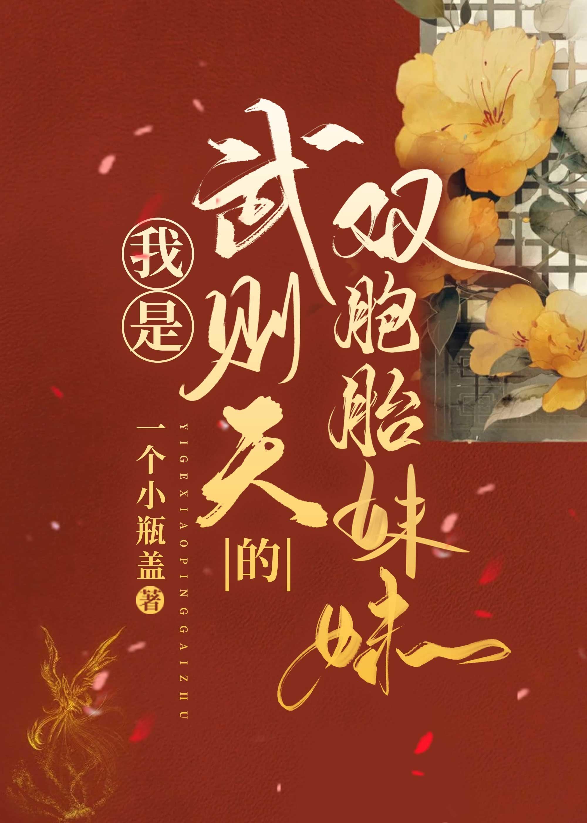 我是武则天的双胞胎妹妹封面