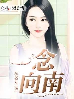 一念向南封面