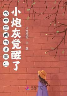 综武：读书成圣，以武犯禁封面
