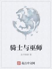 骑士与巫师封面