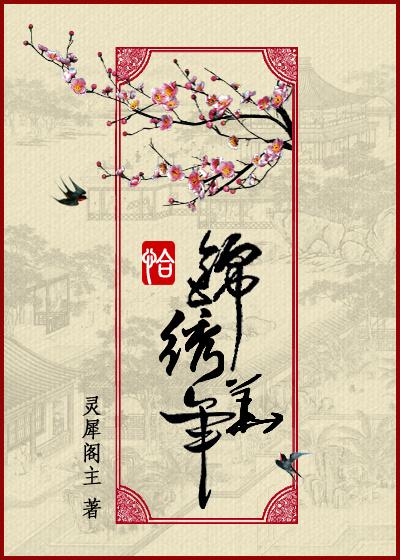 恰锦绣华年封面
