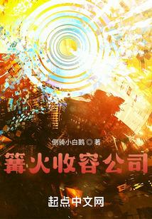 篝火收容公司封面