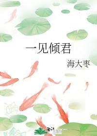 一见倾君封面