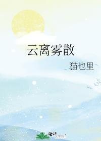云离雾散封面