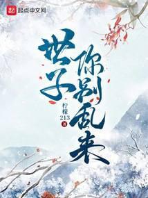 世子你别乱来封面