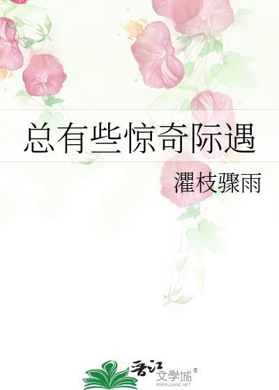 总有些惊奇际遇封面