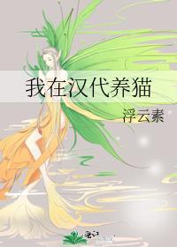 我在汉代养猫封面