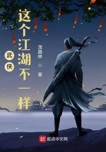 武侠：这个江湖不一样封面