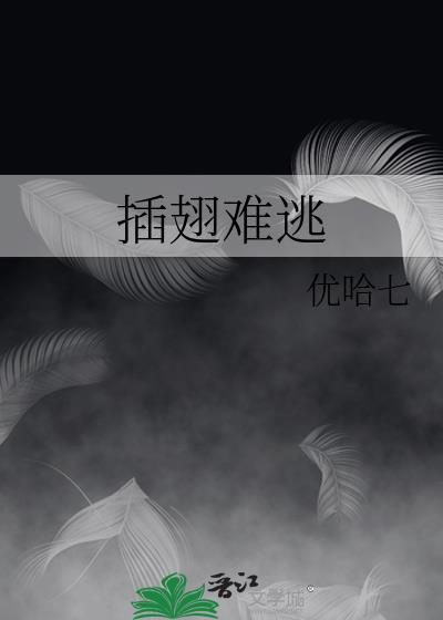 插翅难逃封面