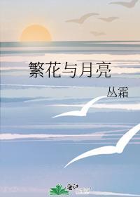 繁花与月亮封面
