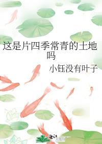 这是片四季常青的土地吗封面