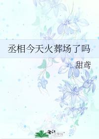 丞相今天火葬场了吗封面