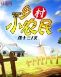 乡村小农民封面
