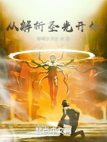 从解析圣光开始封面