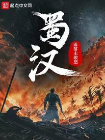 蜀汉封面