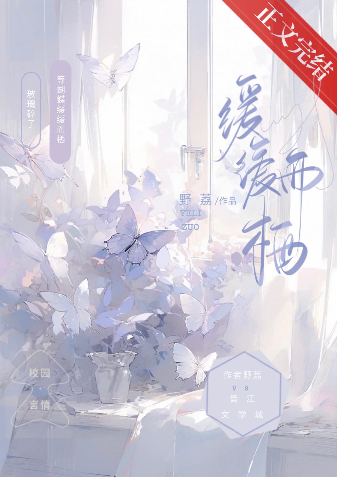 缓缓而栖封面