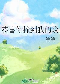 恭喜你撞到我的坟封面