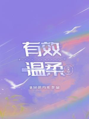 有效温柔封面