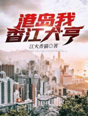 港岛我香江大亨封面