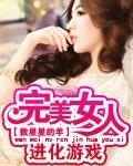 完美女人进化游戏封面