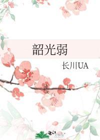 韶光弱封面