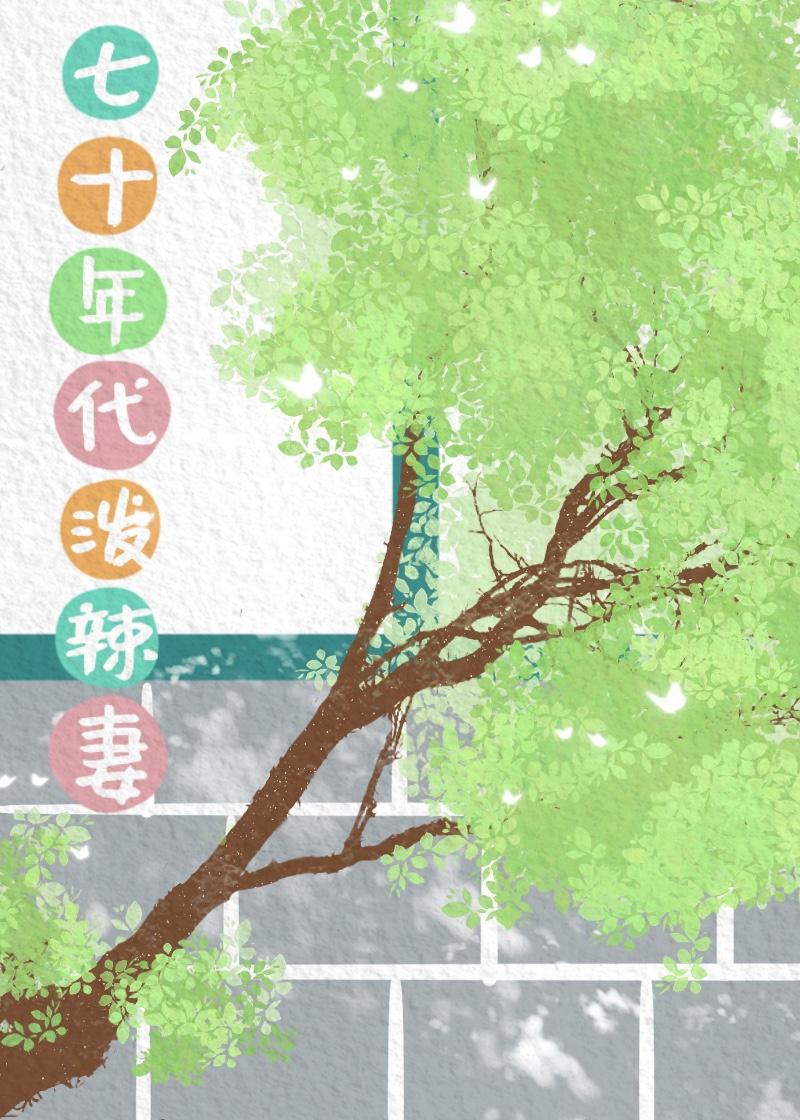 七十年代泼辣妻封面