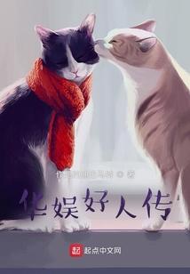 华娱好人传封面