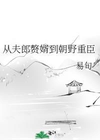 从夫郎赘婿到朝野重臣封面