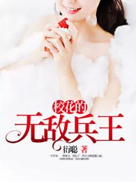 校花的无敌兵王封面