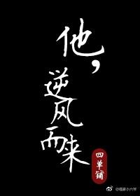 他，逆风而来封面