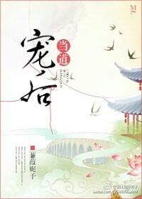 宠后当道封面