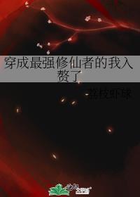 穿成最强修仙者的我入赘了封面