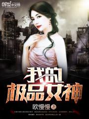 我的极品女神封面