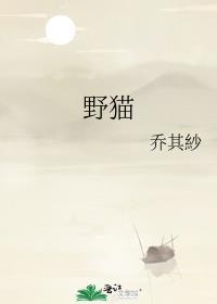 野猫封面